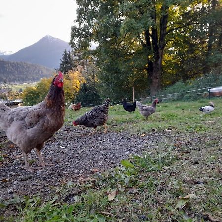 Appartement Sonnseitn Altenmarkt im Pongau Luaran gambar