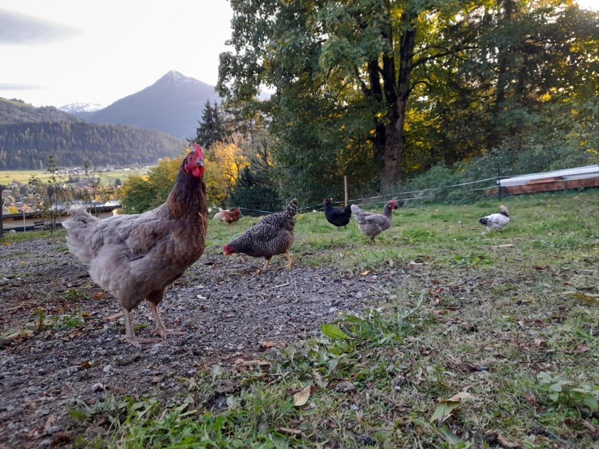 Appartement Sonnseitn Altenmarkt im Pongau Luaran gambar