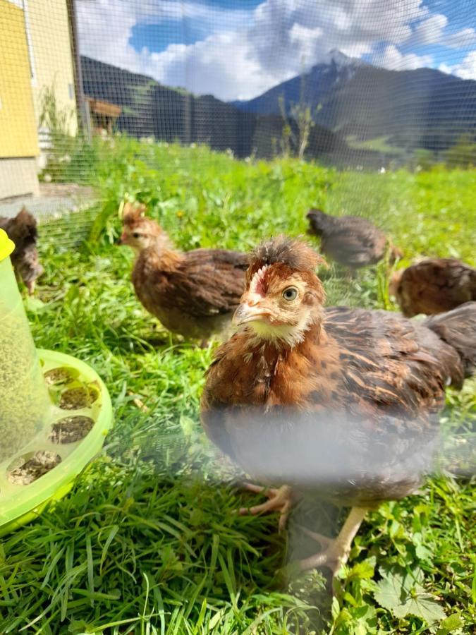 Appartement Sonnseitn Altenmarkt im Pongau Luaran gambar
